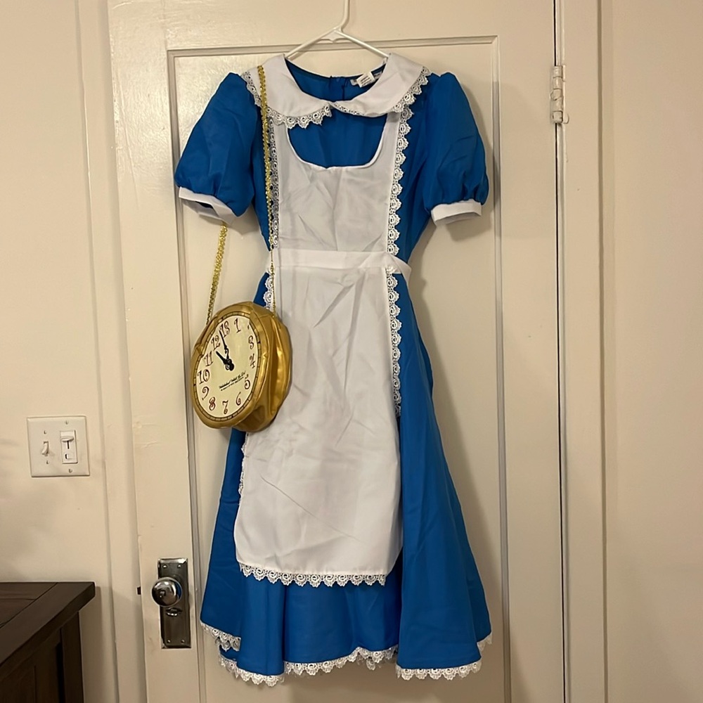 Alice in wonderland costume